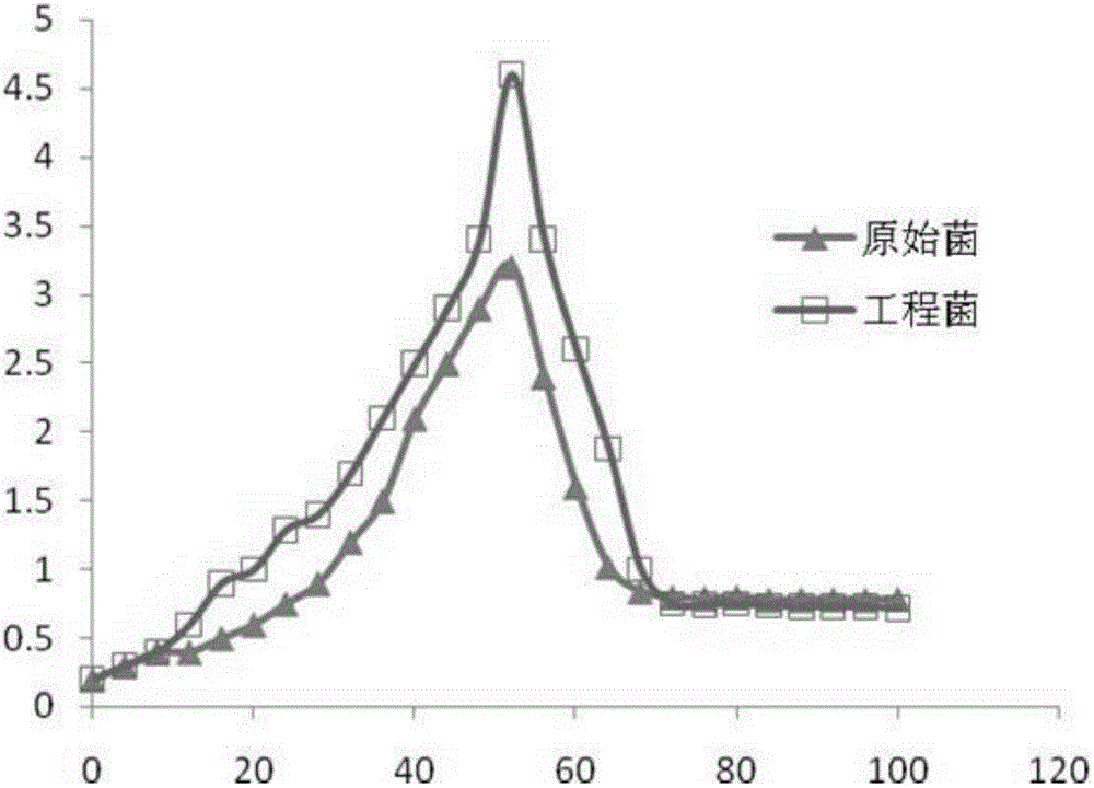 Gene recombined Paenibacillus russica and its construction method and application