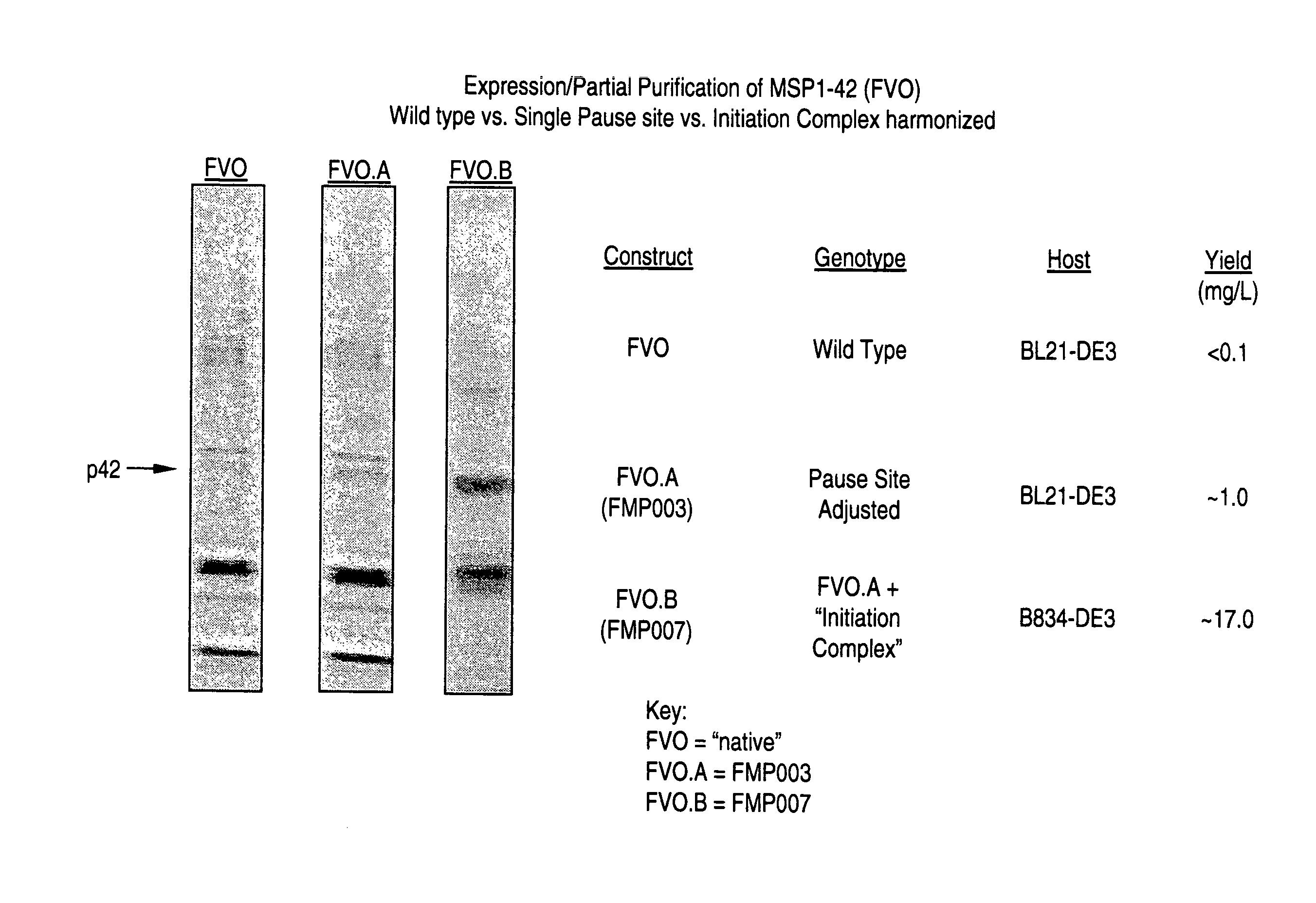 Method of designing synthetic nucleic acid sequences for optimal protein expression in a host cell