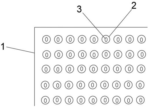 Method for breeding salmon salmons in large scale