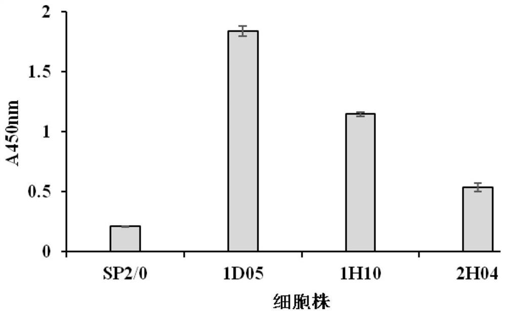 Preparation method and application of carbofuran test paper based on SERS immunochromatography technology