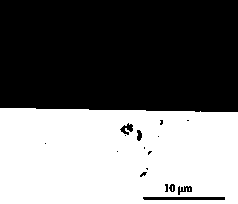 A kind of Altin composite coating with high Al content and preparation method