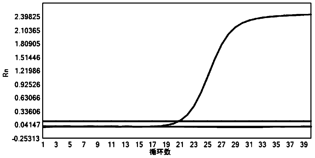 Method for detecting whether African swine fever virus carried in soil of pig farm or not