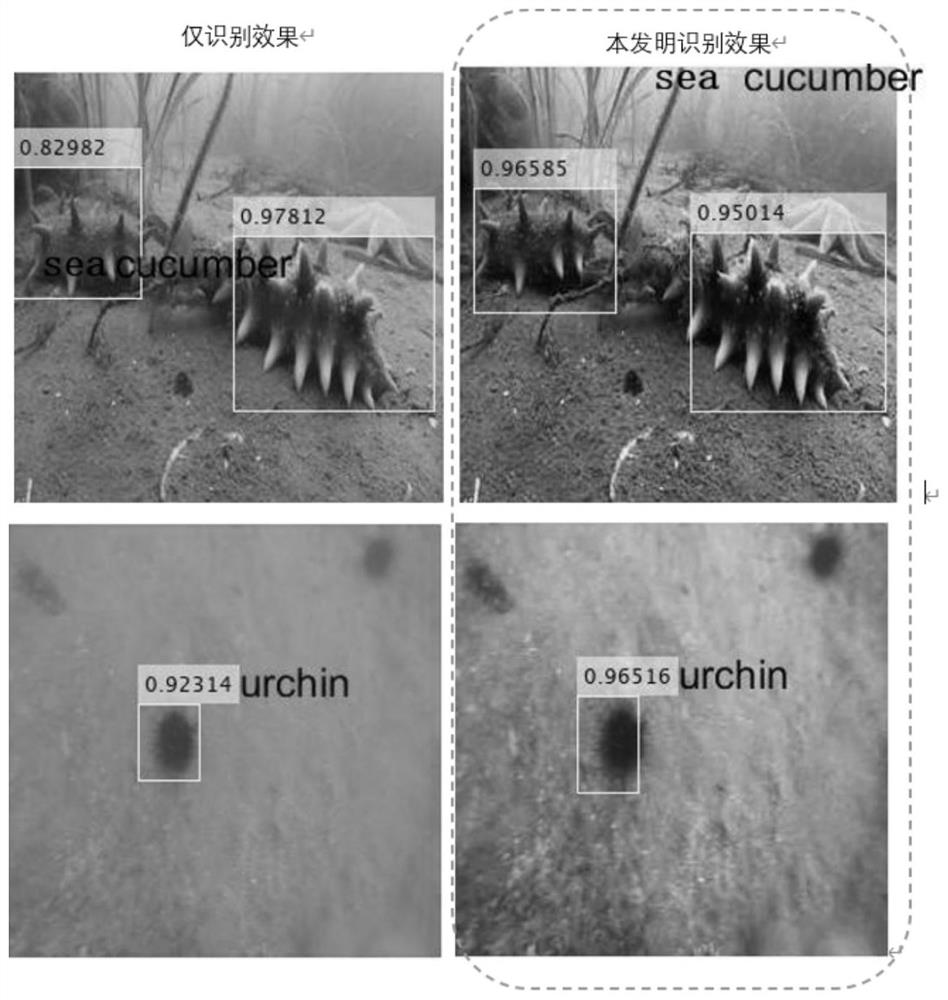 Underwater image recognition method based on Lab domain enhancement, classification and contrast improvement