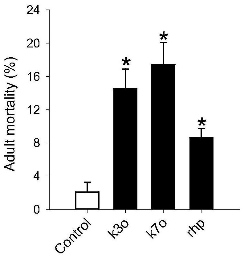 Application of phenol sugar acyltransferase gene btpmat1 and its specific dsRNA in the control of whitefly