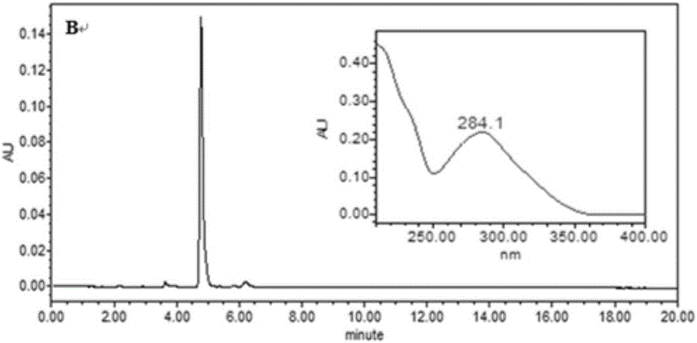 Preparation method of polygonum multiflorum cis and trans-stilbene glycoside reference substances