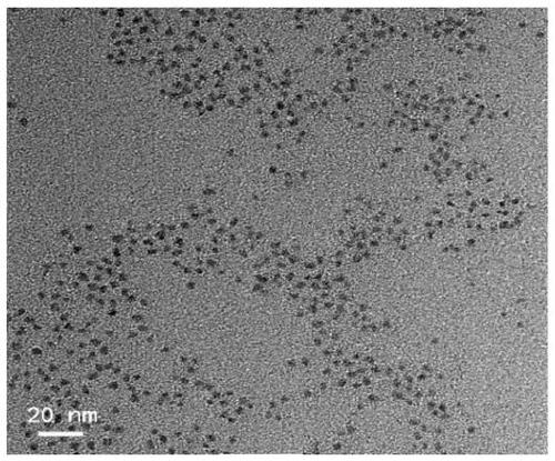 Near-infrared II-region fluorescent quantum dot cytomembrane marking system and marking method and application