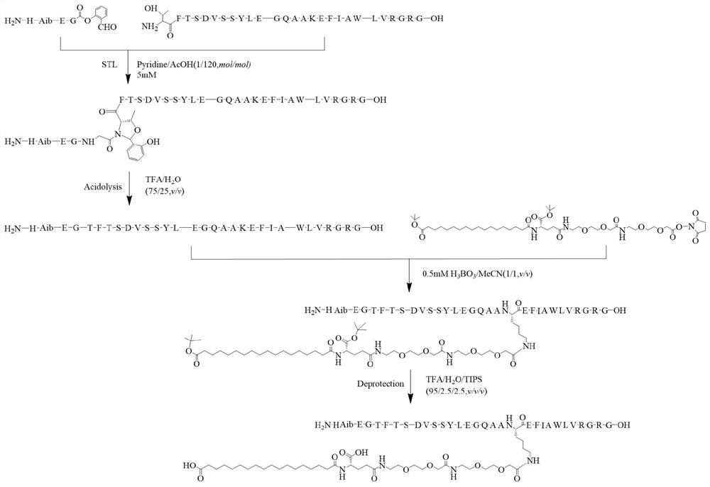 A kind of semi-synthetic preparation method of semaglutide