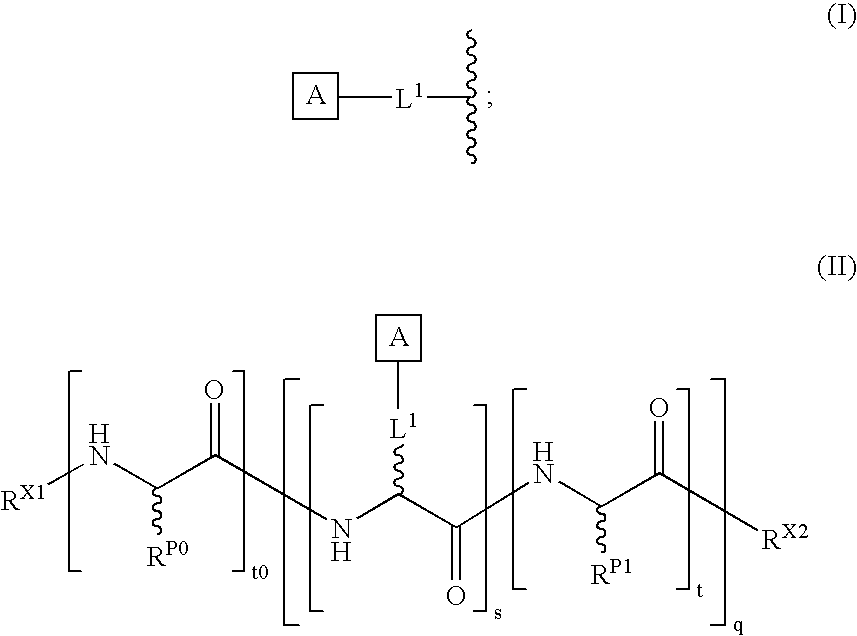 Method for preparing polyfunctionalized peptides and/or proteins via native chemical ligation