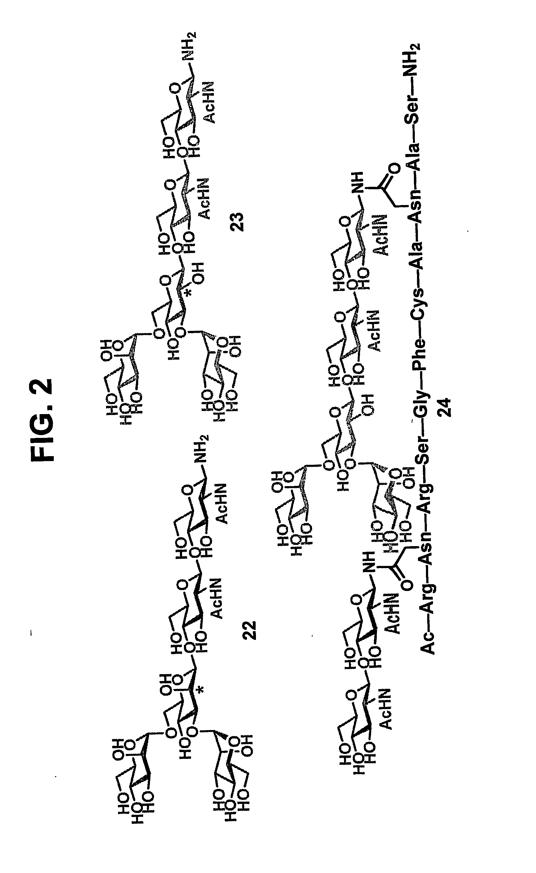 Method for preparing polyfunctionalized peptides and/or proteins via native chemical ligation