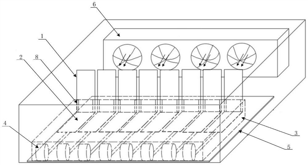 Card holder and server