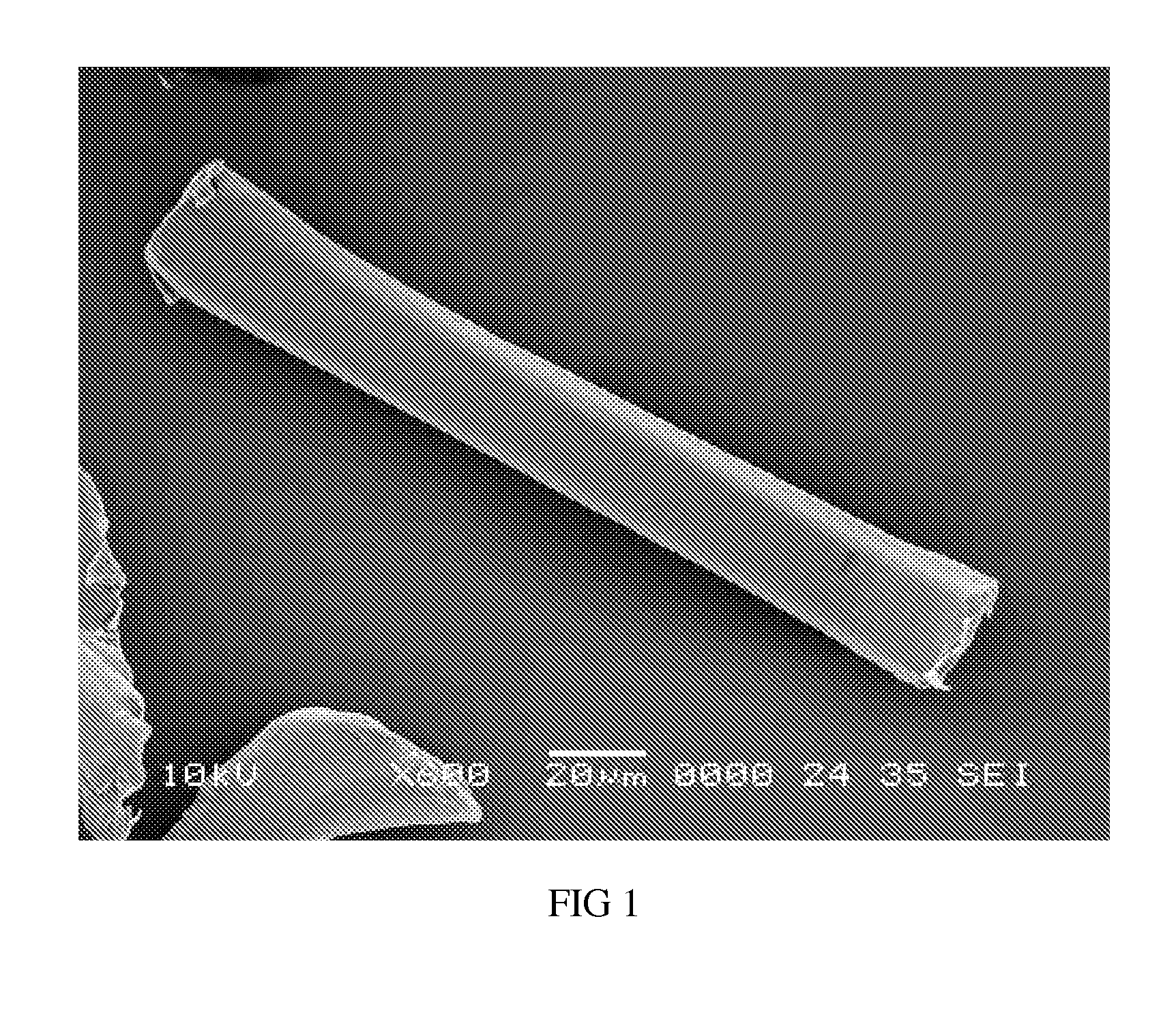 Method of making hydrophilic fluoropolymer material