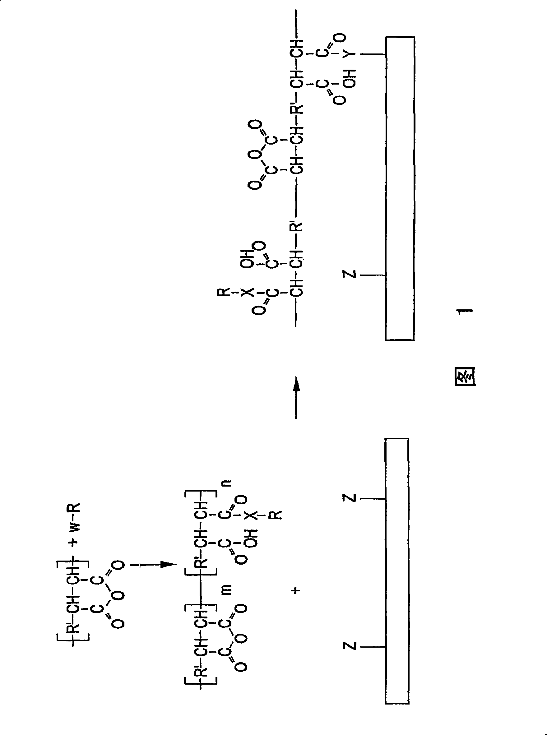 Supports for assaying analytes and methods of making and using thereof