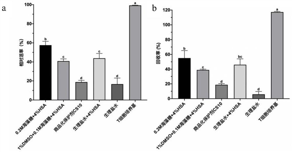 Slow cryopreservation method of human T lymphocytes