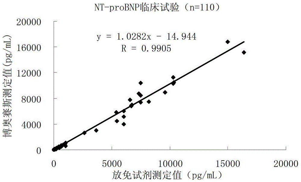 N-terminal b-type brain natriuretic peptide precursor chemiluminescent immunoquantitative detection kit and preparation method thereof