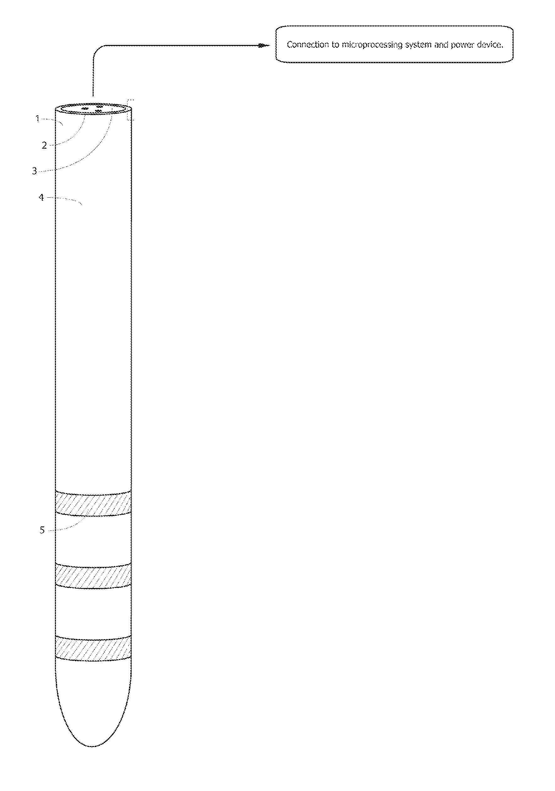 Decorin and Gliosis and Related System and Method