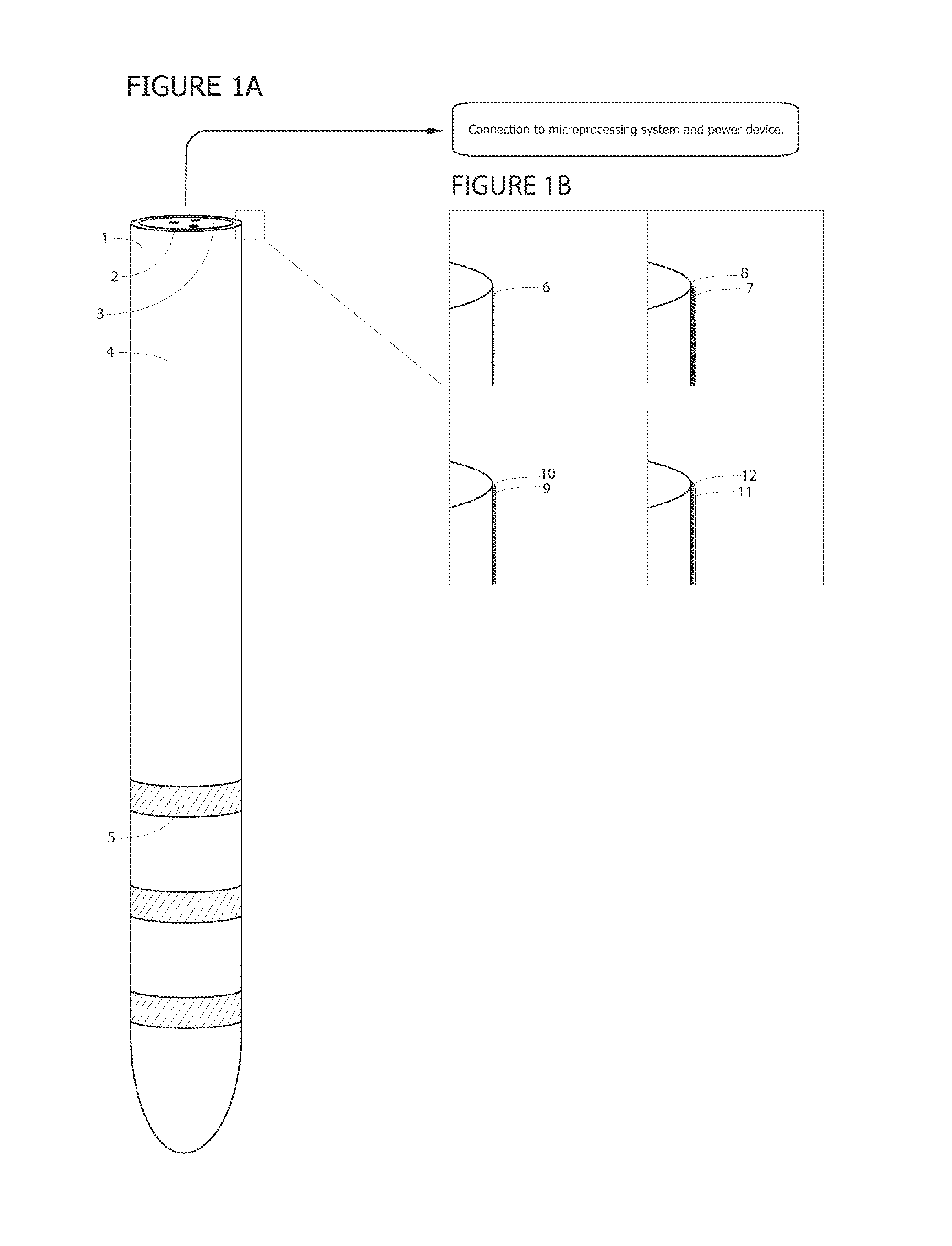 Decorin and Gliosis and Related System and Method