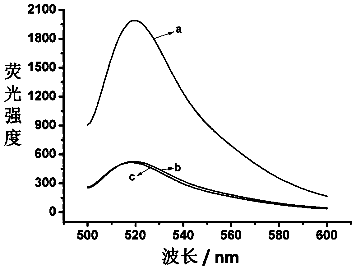 A kind of kit and method for detecting ochratoxin A