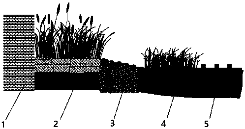 A method for rapid recovery of side beach wetlands other than embankments