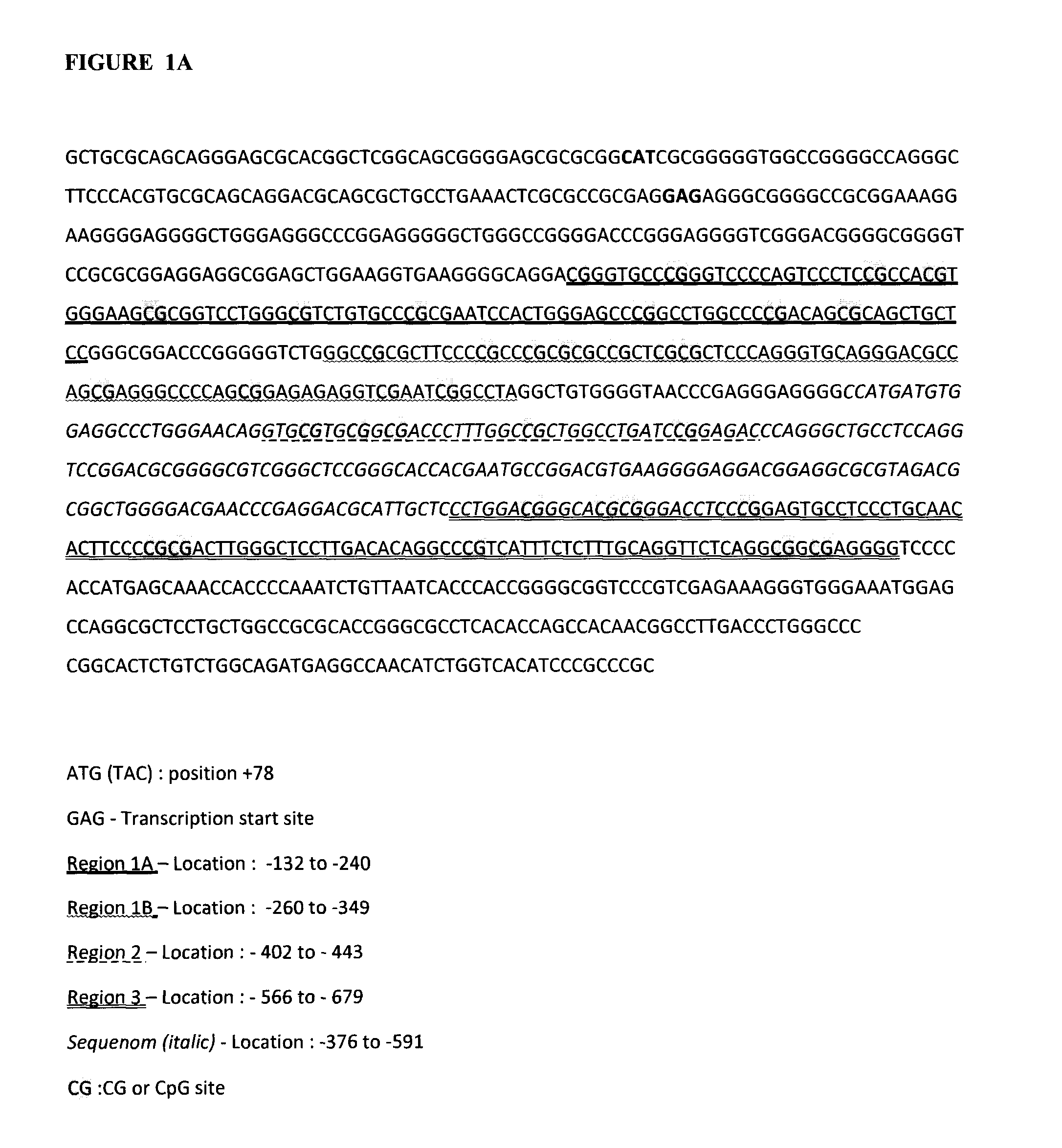 Method of diagnosing cancer comprising detection of the methylation signature in the htert promoter