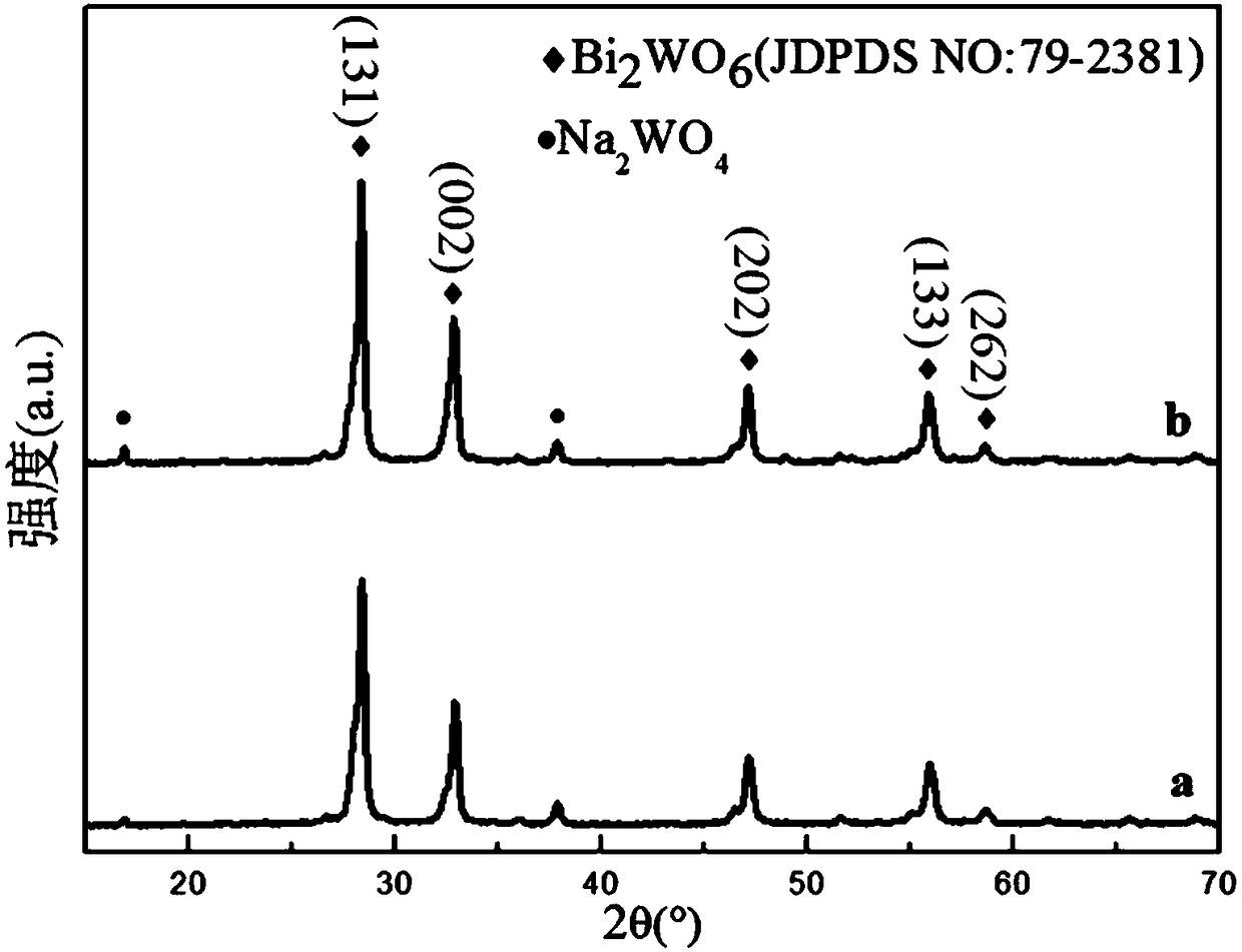 A kind of bismuth tungstate film with porous network structure and its preparation method and application