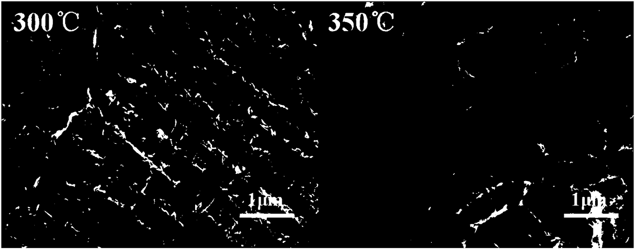 A kind of bismuth tungstate film with porous network structure and its preparation method and application