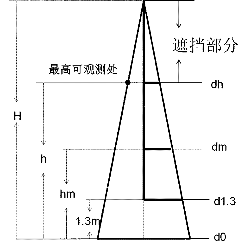 Method for measuring height of tree and volume of wood by means of total station under condition that crown is covered