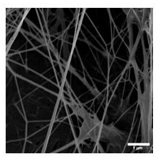 Preparation method and application of acellular porcine dermal matrix thermosensitive antibacterial conductive scaffold