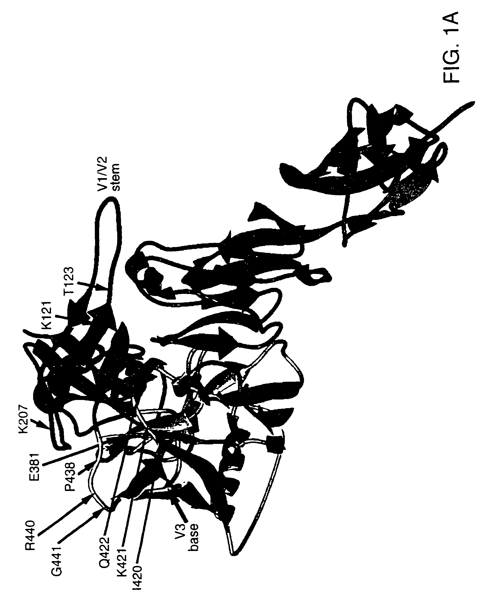 Stabilized primate lentivirus envelope glycoproteins
