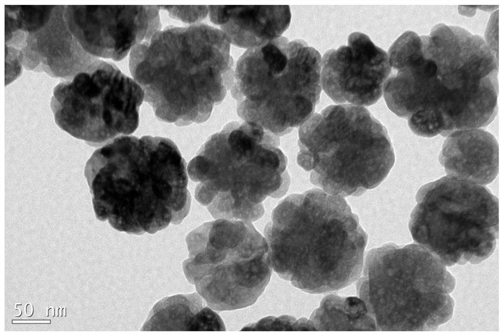 Boric acid affinity rutin molecularly imprinted magnetic nanosphere as well as preparation method and application thereof
