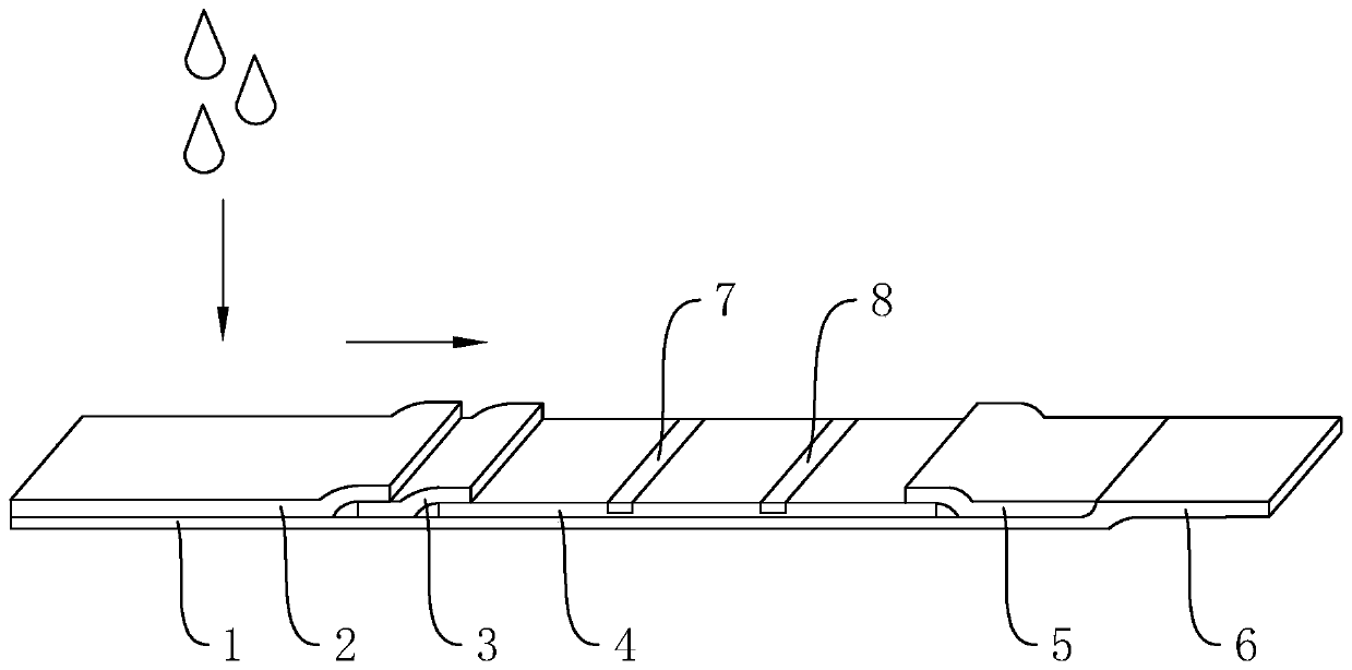 Rapid detection test strip for HPV antibody, and preparation method and use method thereof