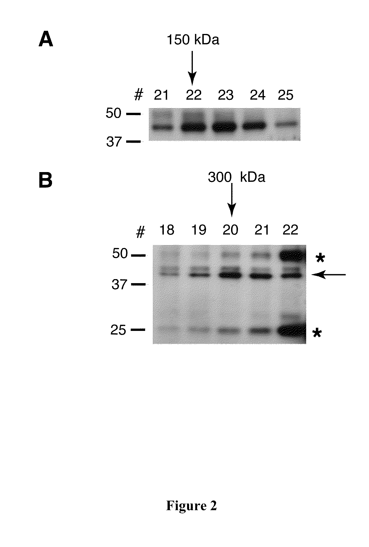 Treatment and prevention of malaria