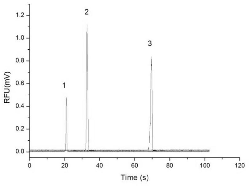 System and method for simultaneously detecting multiple free radicals in photocatalysis process on line