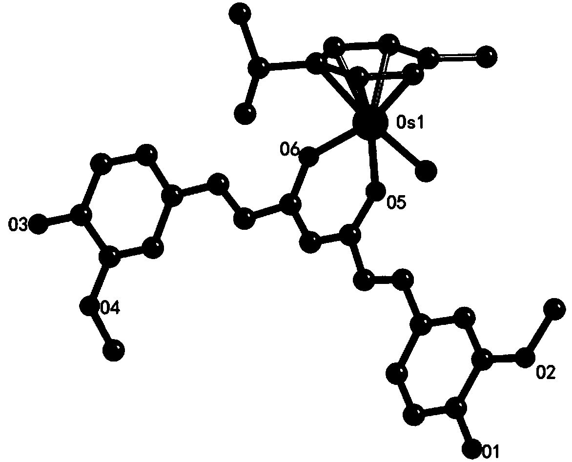 Curcumin-containing aryl metal complexes as well as synthetic method and application thereof