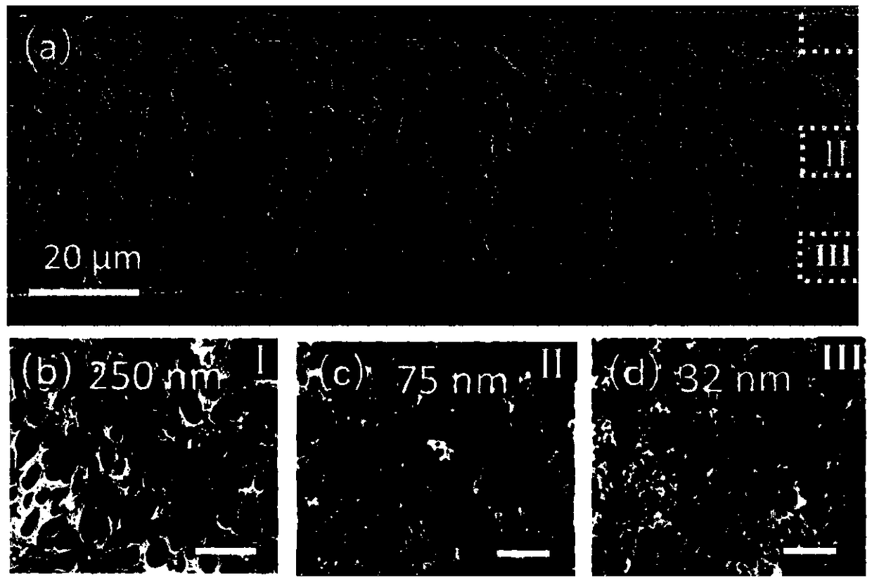 Heteroatom doped porous carbon membrane as well as preparation method and application thereof