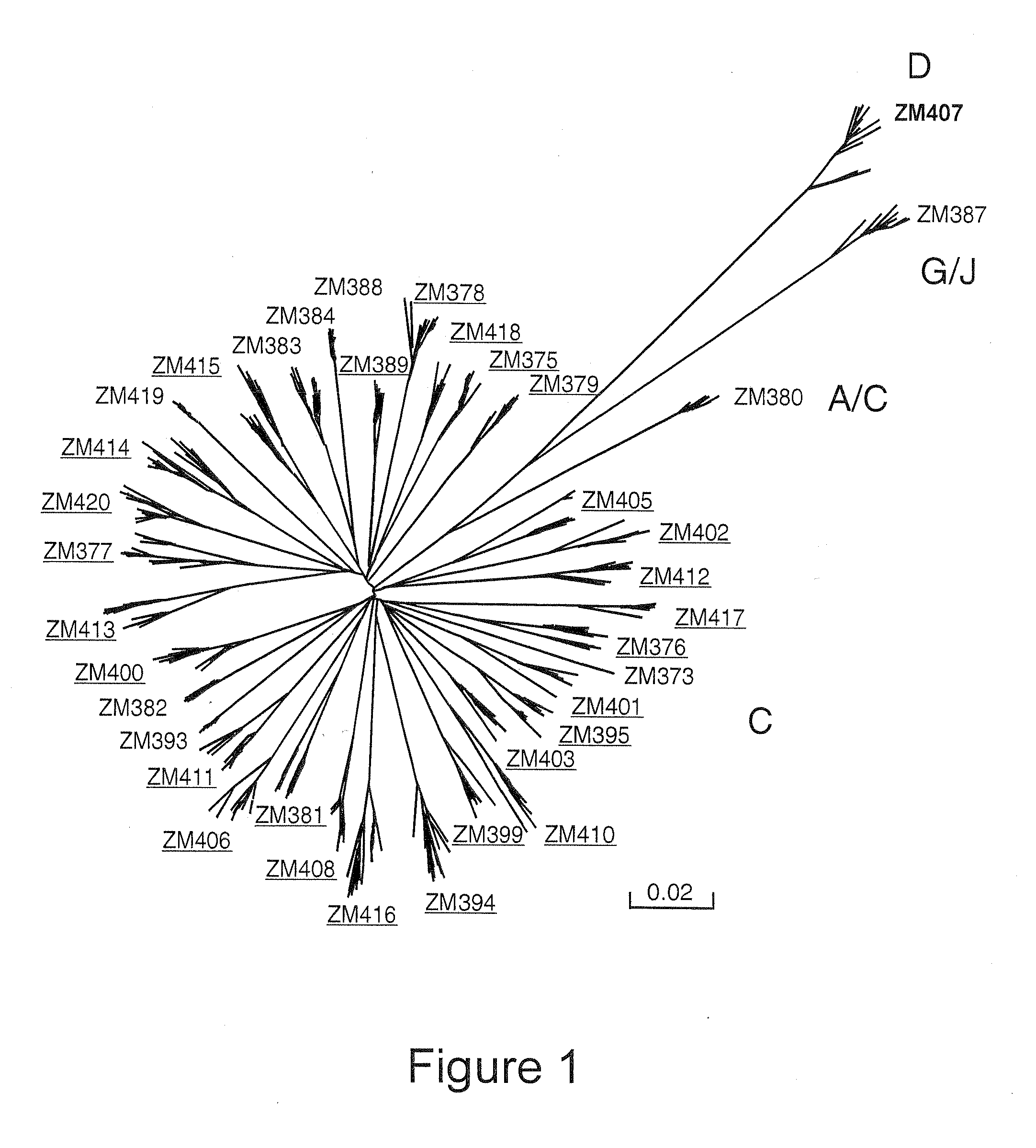 Genetic signatures in hiv-1 subtype c envelope glycoproteins