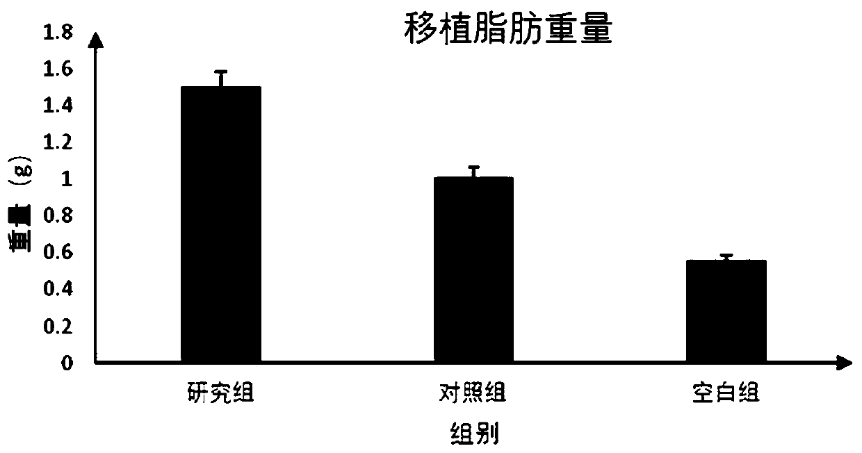 Method for improving fat filling effect of face and other parts by using adipose-derived stem cells