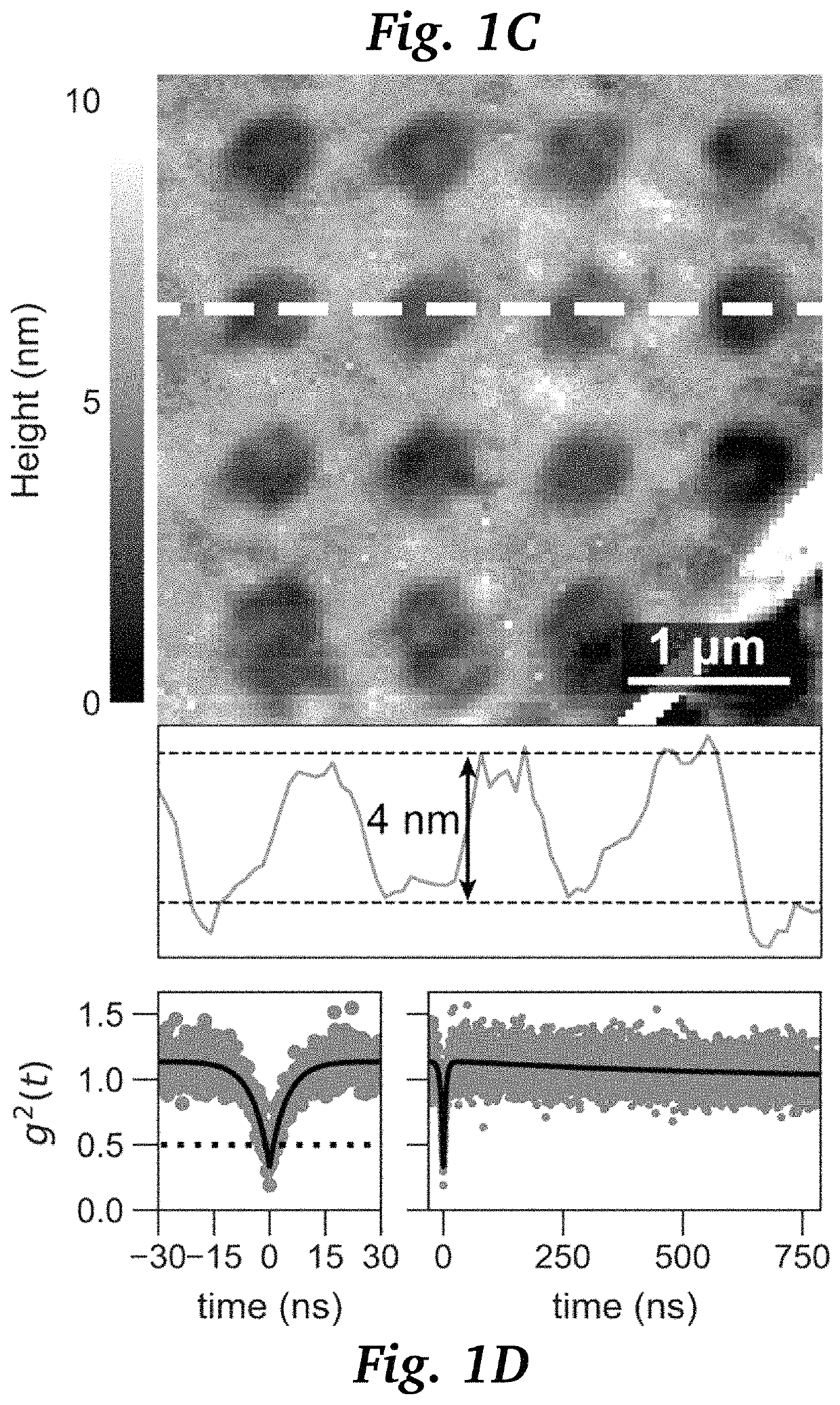 Deterministic quantum emitter formation in hexagonal boron nitride via controlled edge creation