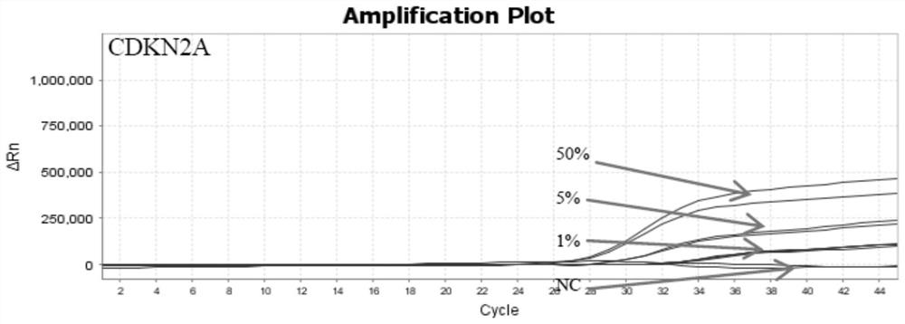 Primer probe composition, kit and method for early screening of liver cancer