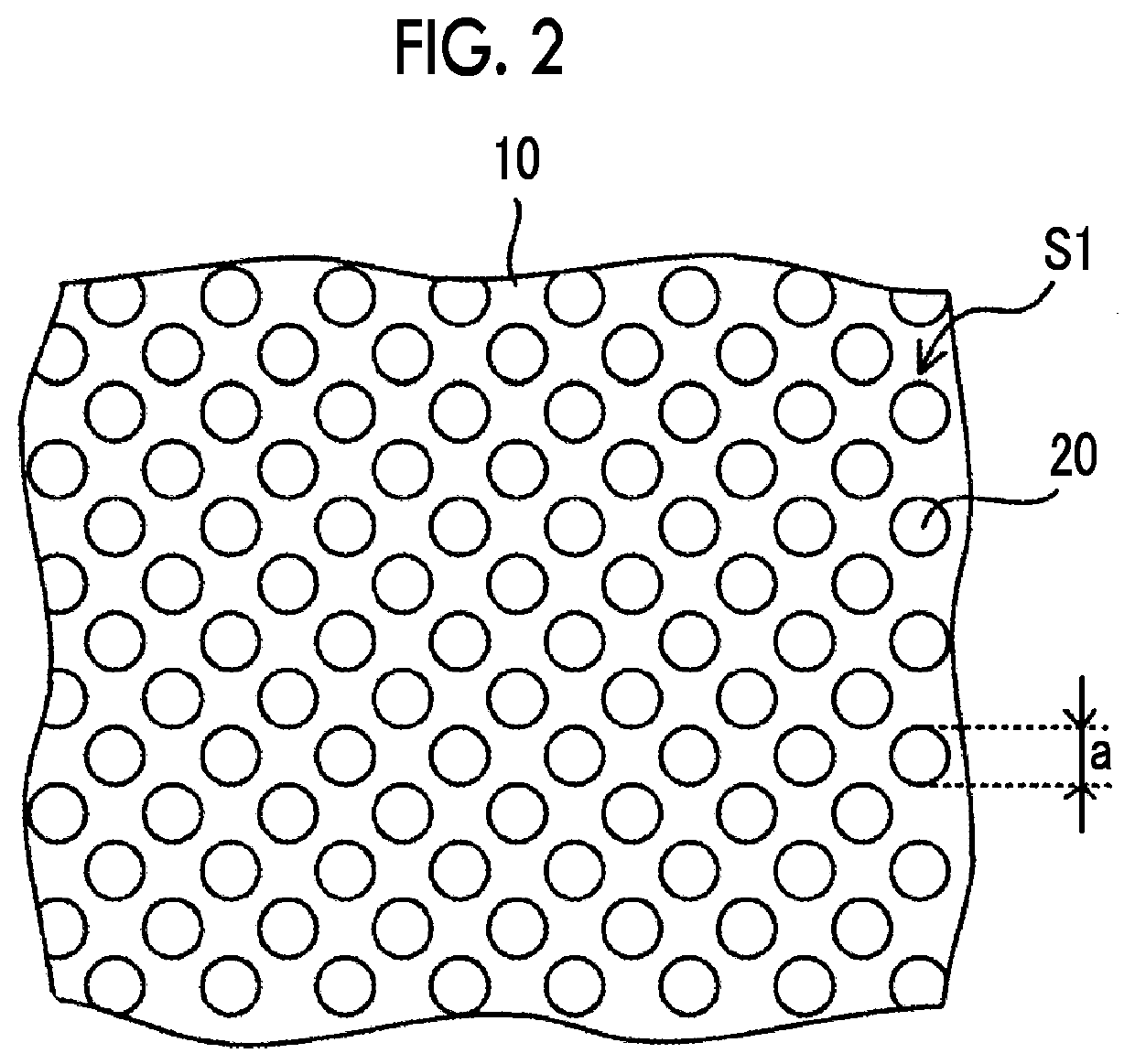 Cell culture apparatus and cell culture method