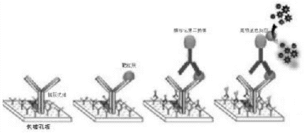 A kind of pcr enzyme-linked two-hybrid method detects pathogenic microorganism detection method