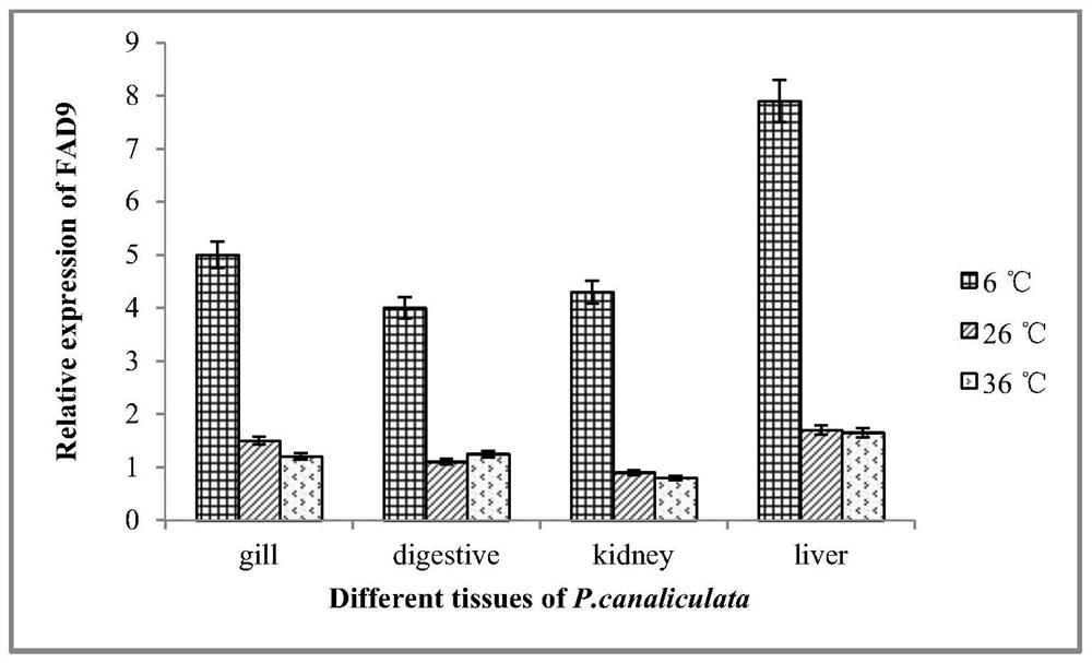 Low-temperature tolerance-related gene fad9 of apple snail, its encoded protein and its cloning method