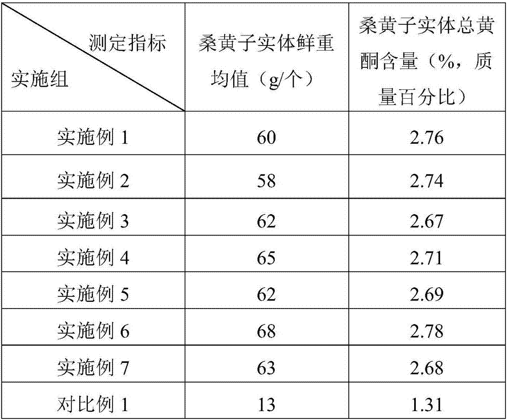Method for imitation wild ecological cultivation of inonotus sanghuang under tree crowns