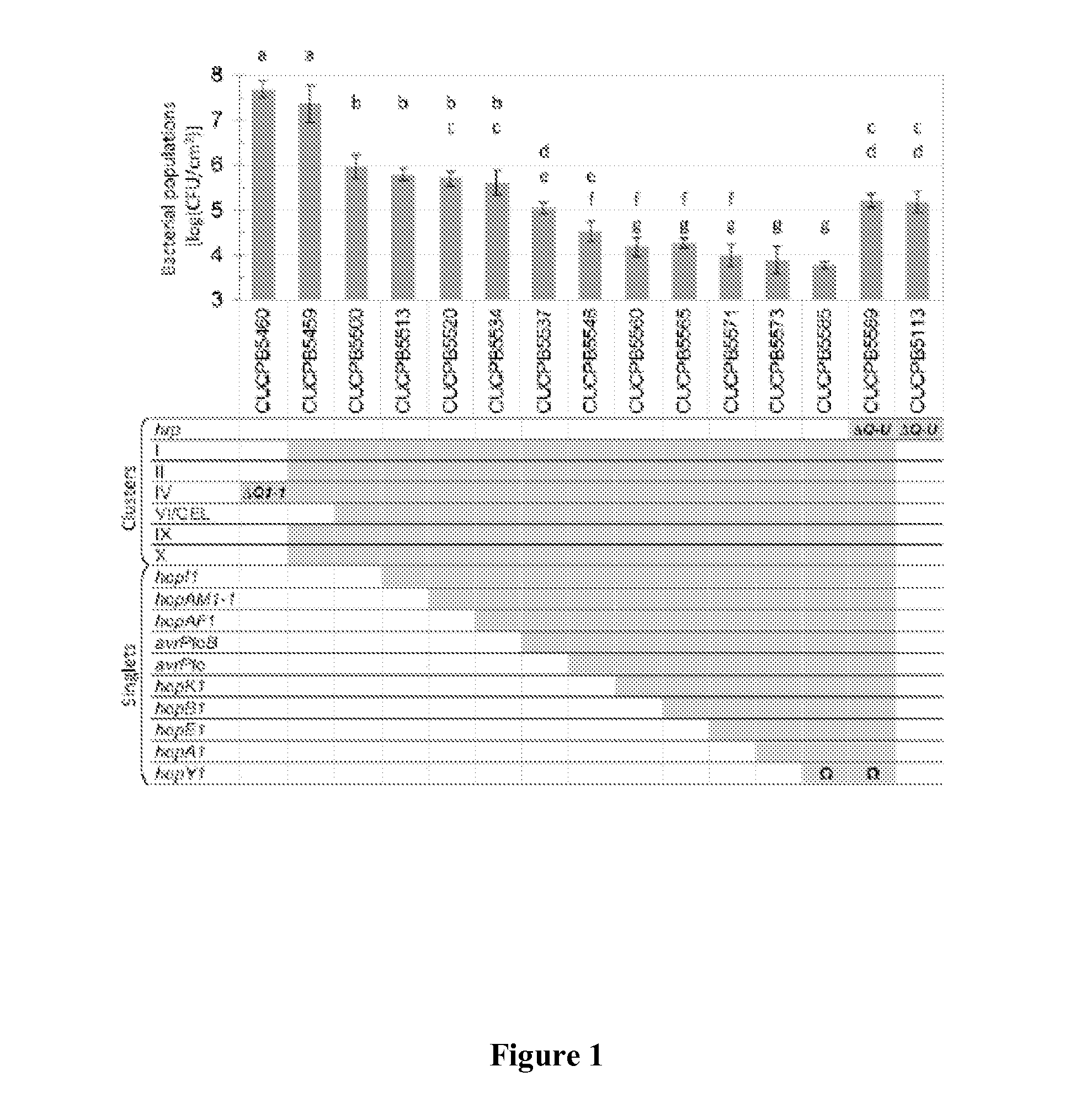 Method of dual-adapter recombination for efficient concatenation of multiple DNA fragments in shuffled or specified arrangements