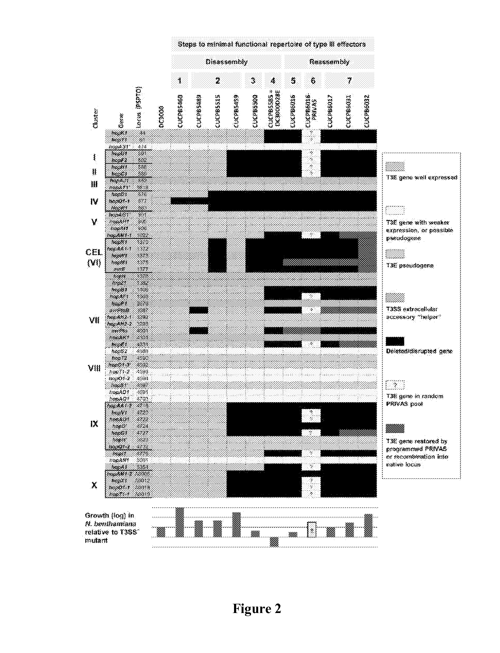 Method of dual-adapter recombination for efficient concatenation of multiple DNA fragments in shuffled or specified arrangements