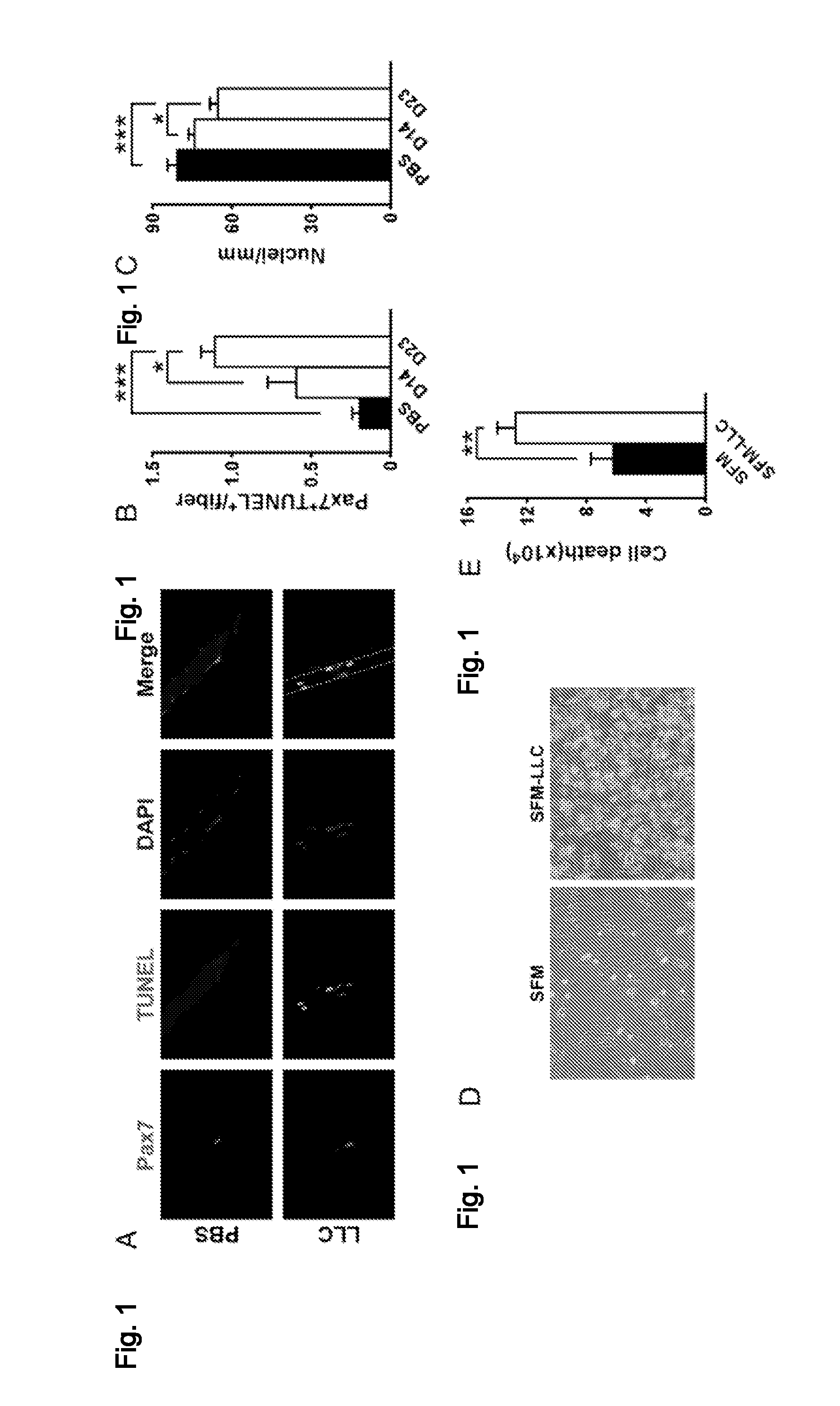 Compositions and methods for treating cachexia