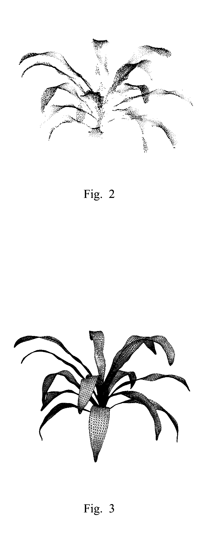 Method and device for modeling of deformation motion of elastic object