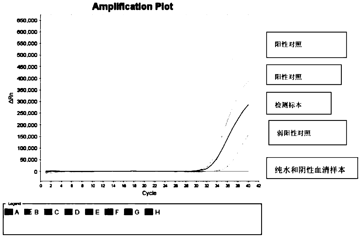 Kits and methods for detecting CMV infection in ocular trace biological samples