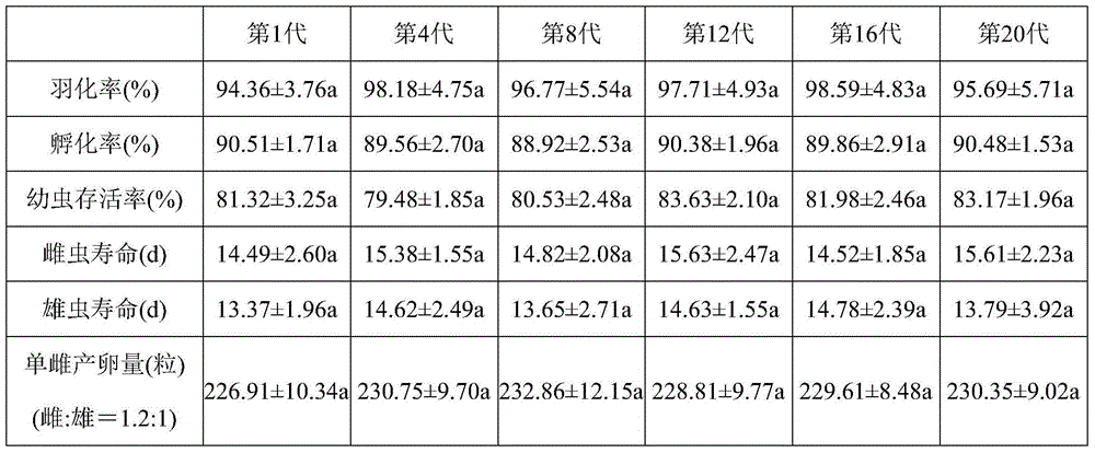 Peach borer artificial feed, preparation method and subculture feeding method