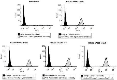 Novel coronavirus neutralizing antibody detection kit