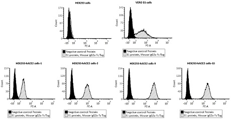 Novel coronavirus neutralizing antibody detection kit